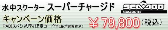 SEA-DOO�����X�N�[�^�[ PADI�F��ؕt ��79,800