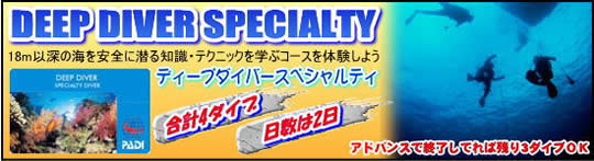 �f�B�[�v�_�C�o�[�X�y�V�����e�B�u�K