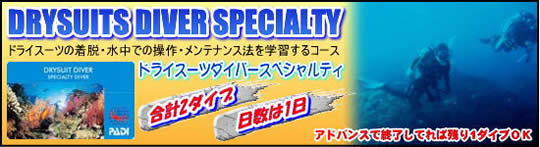 �h���C�X�[�c�X�y�V�����e�B�u�K