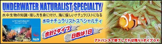 �����i�`�������X�g�_�C�o�[�X�y�V�����e�B�u�K