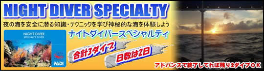 �i�C�g�_�C�o�[�X�y�V�����e�B�u�K