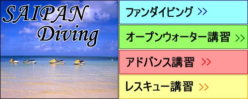 �T�C�p���_�C�r���O