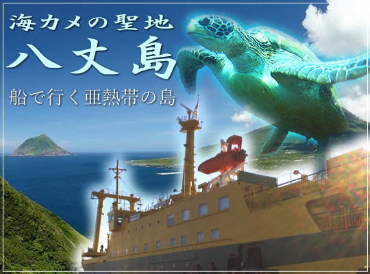 �E�~�K���V���I���䓇�R�r�[�`�S�H�������^���t��