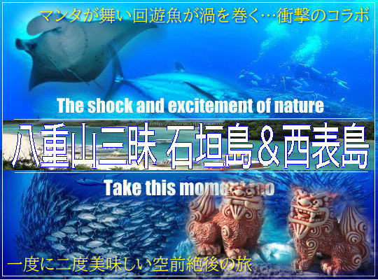 ���s�֗��p�I�Ί_�������\���W�{�[�g�����^���H���t